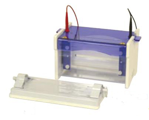 Камера для вертикального электрофореза OmniPAGE mini wide производства Cleaver Scientific (Великобритания)
