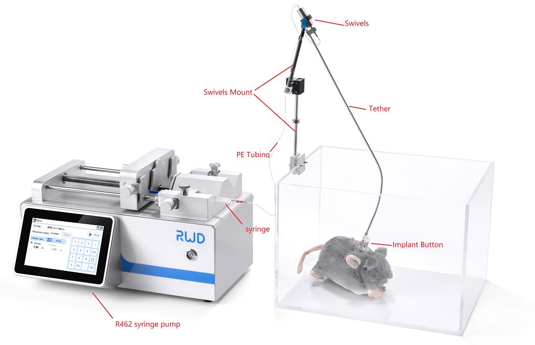 Новая система введения препаратов и забора крови мелких лабораторных животных от RWD Life Science !!!