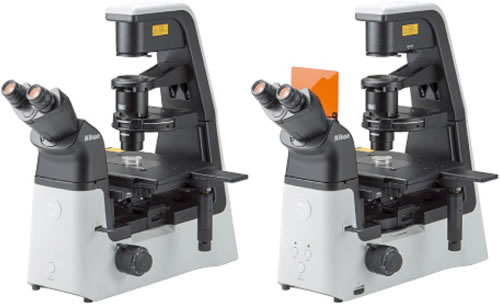 Инвертированные исследовательские микроскопы Eclipse Ts2R и Eclipse Ts2R-FL производства Nikon (Япония) Инвертированные исследовательские микроскопы Eclipse Ts2R и Eclipse Ts2R-FL производства Nikon (Япония)