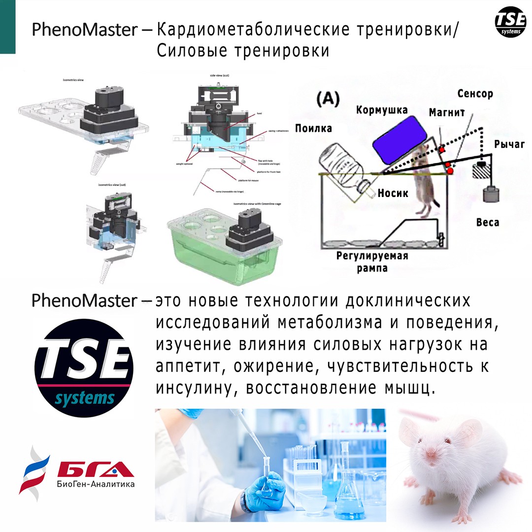 PhenoMaster TSE Systems          ,   ,   