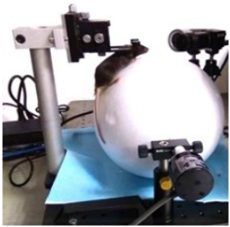         Freely-moving Eye-tracking System for Small Animals BehaviorAtlas   Shenzhen BayOne Biotech Co., Ltd.
