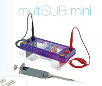 Электрофорезная камера multiSUB MINI производства Cleaver Scientific (Великобритания)