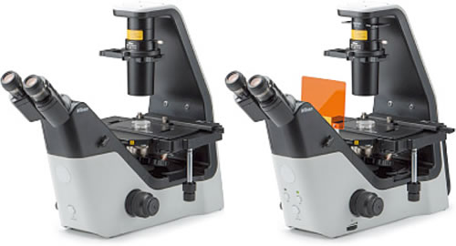 Инвертированные микроскопы Eclipse Ts2 и Eclipse Ts2-FL производства Nikon (Япония) Инвертированные микроскопы Eclipse Ts2 и Eclipse Ts2-FL производства Nikon (Япония)